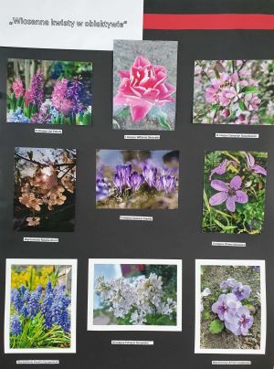Konkurs fotograficzny „Wiosenne kwiaty w obiektywie”...