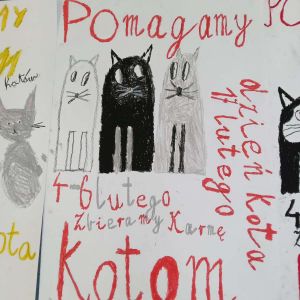 Szkolny Dzień Kota